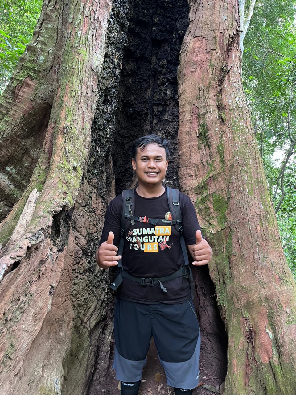 Bayu